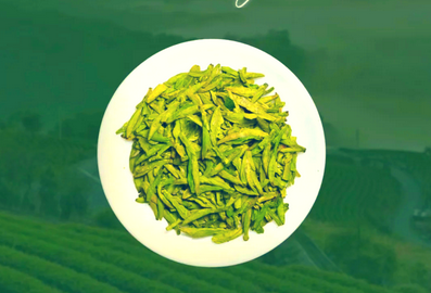 綠茶的沖泡方法